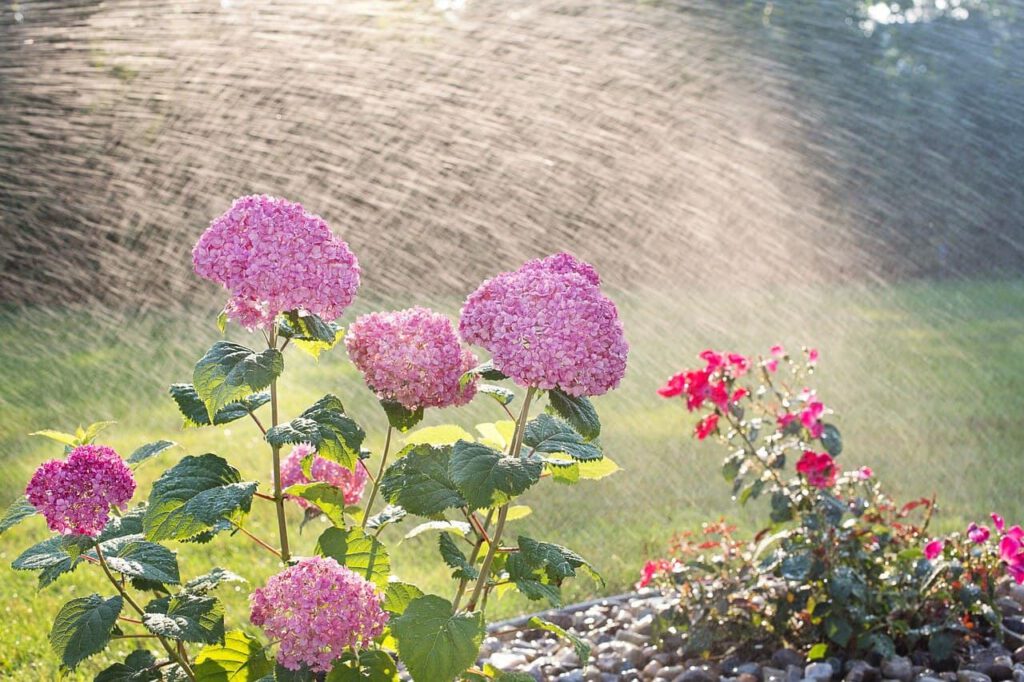 Come irrigare il giardino: consigli pratici per ogni stagione