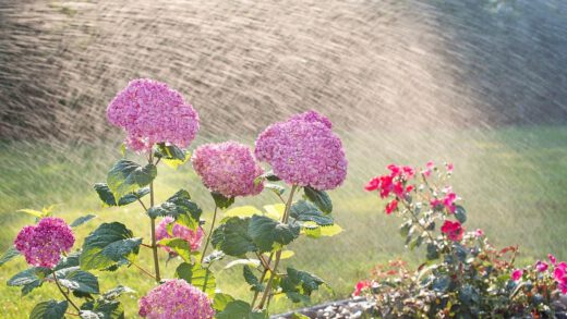 Come irrigare il giardino: consigli pratici per ogni stagione