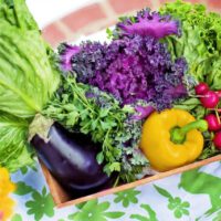 Orto sul balcone: consigli per verdure bio fai da te