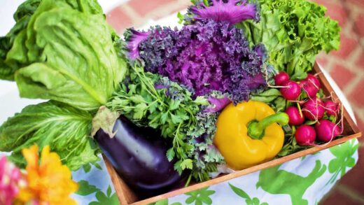 Orto sul balcone: consigli per verdure bio fai da te